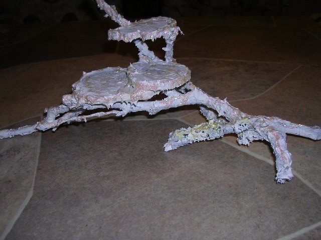 290423.jpg