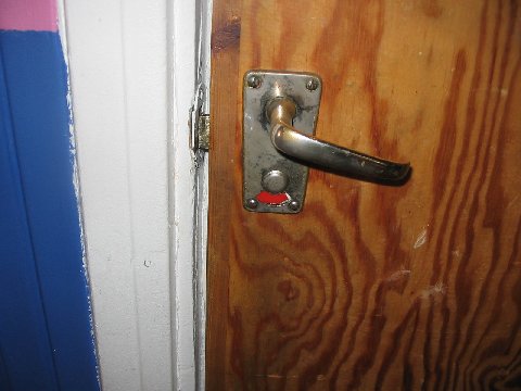 499562.jpg