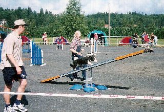 533912.jpg