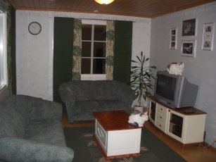 428420.jpg