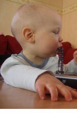 449059.jpg