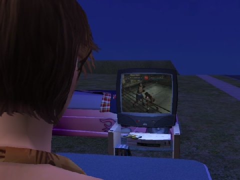 498087.jpg