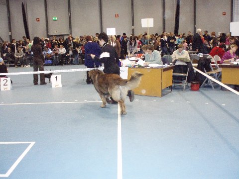 588505.jpg